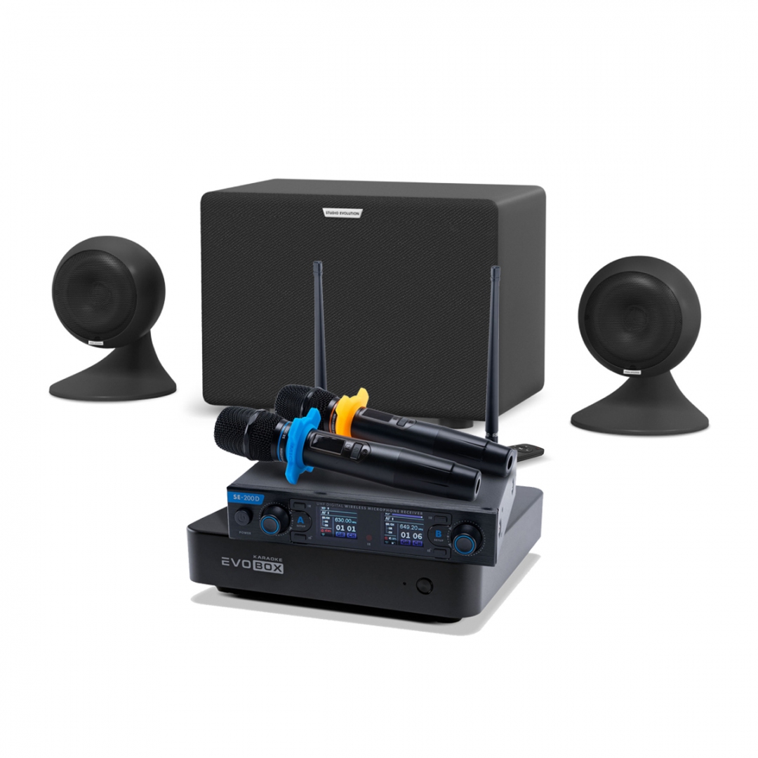 караоке-комплект EVOBOX + EvoSound Sphere 2.1 в Североуральске