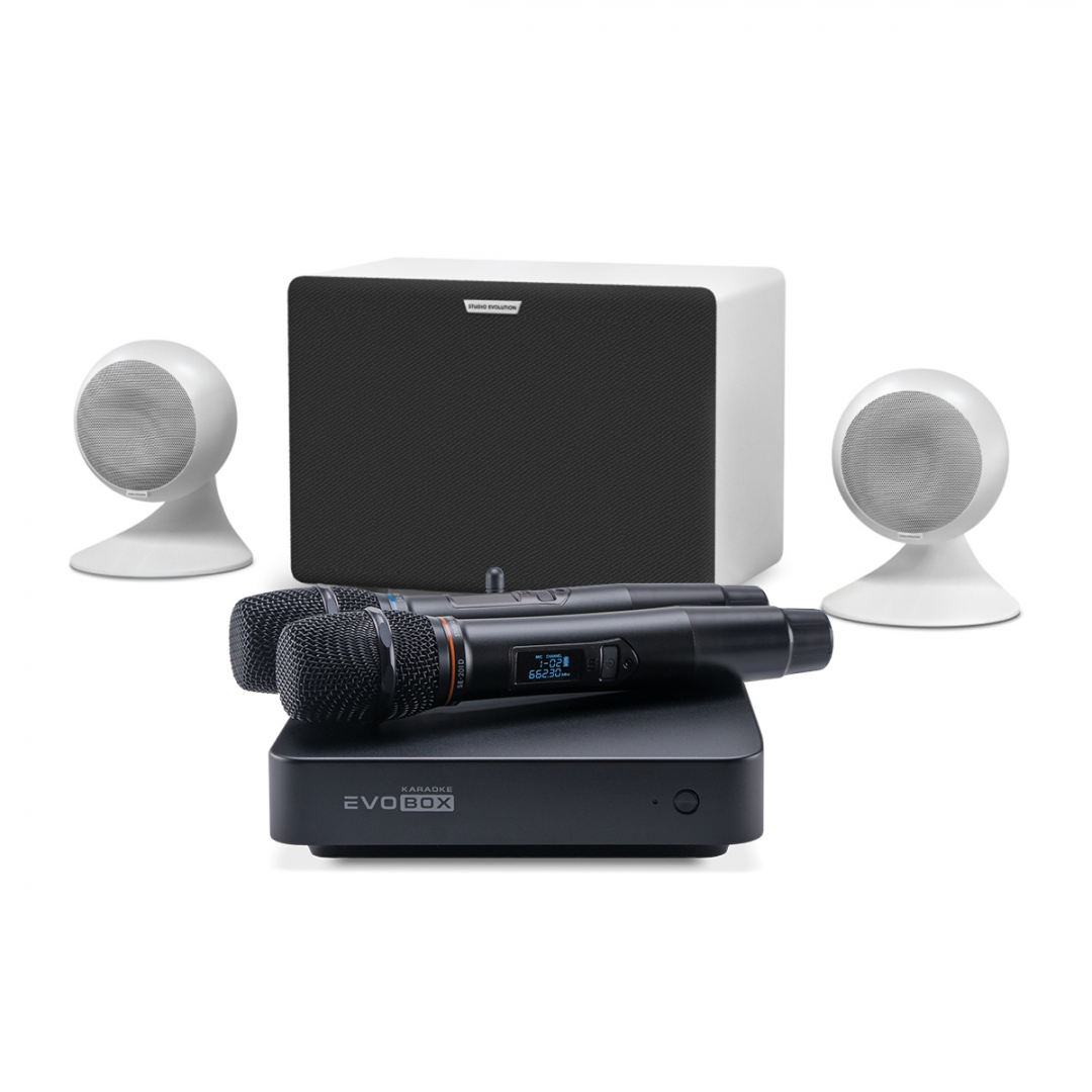 караоке-комплект EVOBOX Classic + EvoSound Sphere 2.1 в Североуральске