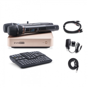 EVOBOX Plus караоке-система для дома в Североуральске